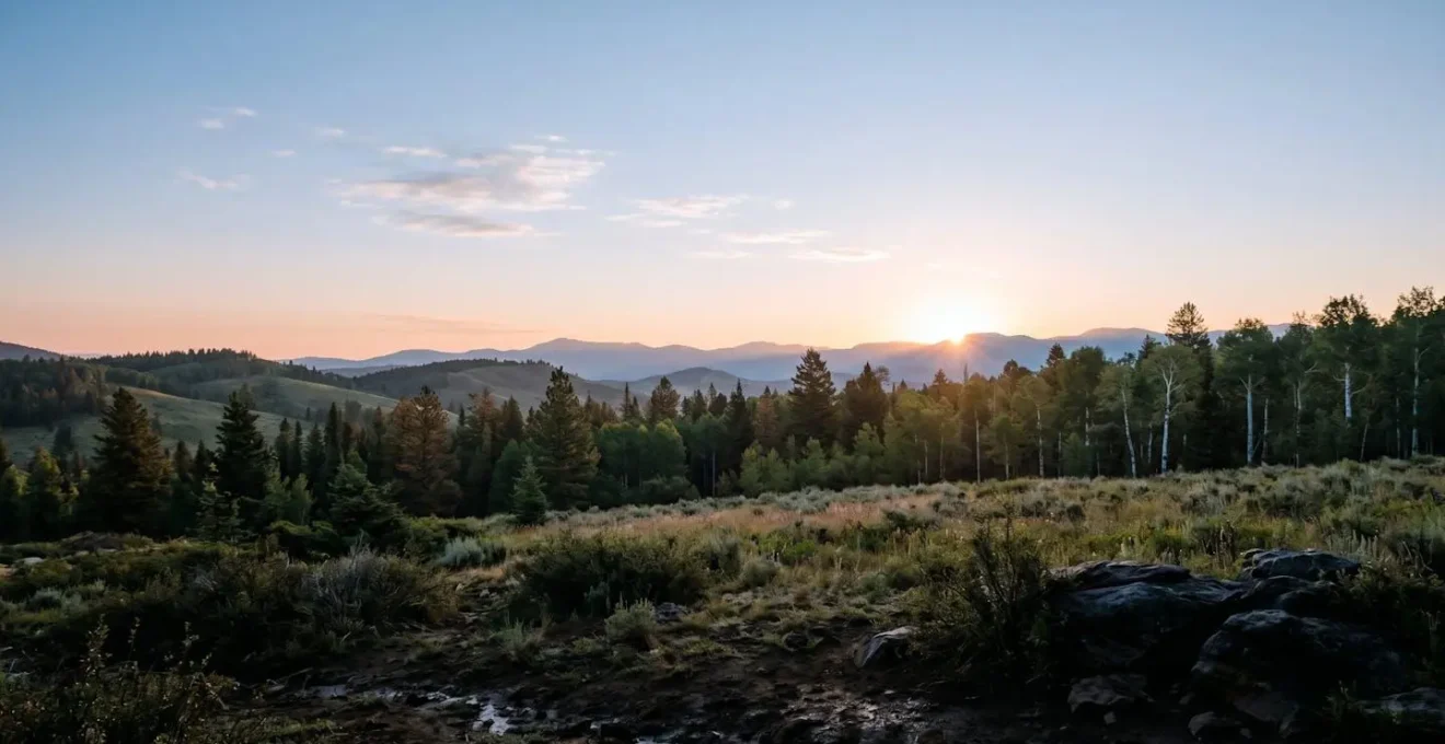 Wide environmental shot showing distinct horizontal layers in a natural landscape representing frequency bands